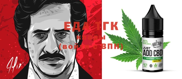 СК Новозыбков