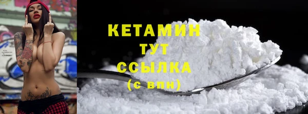 СК Новозыбков