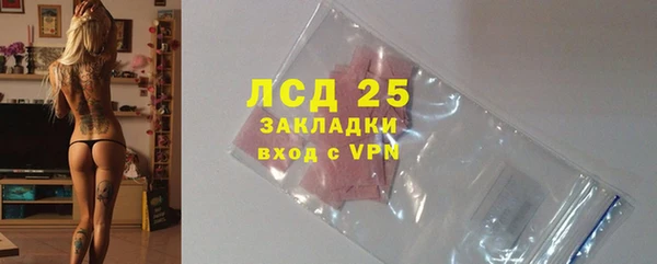 гашик Новодвинск