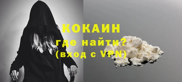 дурь Няндома