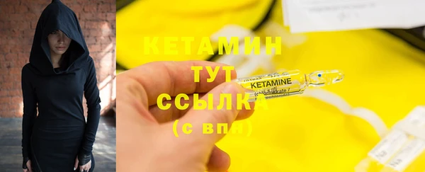 дурь Няндома