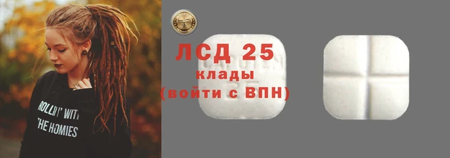 СК Новозыбков