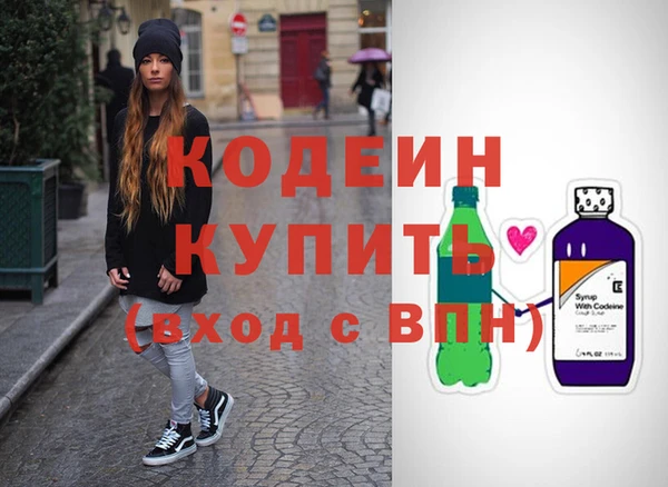 дурь Няндома