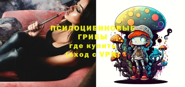 гашик Новодвинск