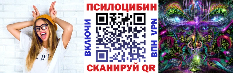 блэк спрут ссылки  Кашира  Галлюциногенные грибы Magic Shrooms 
