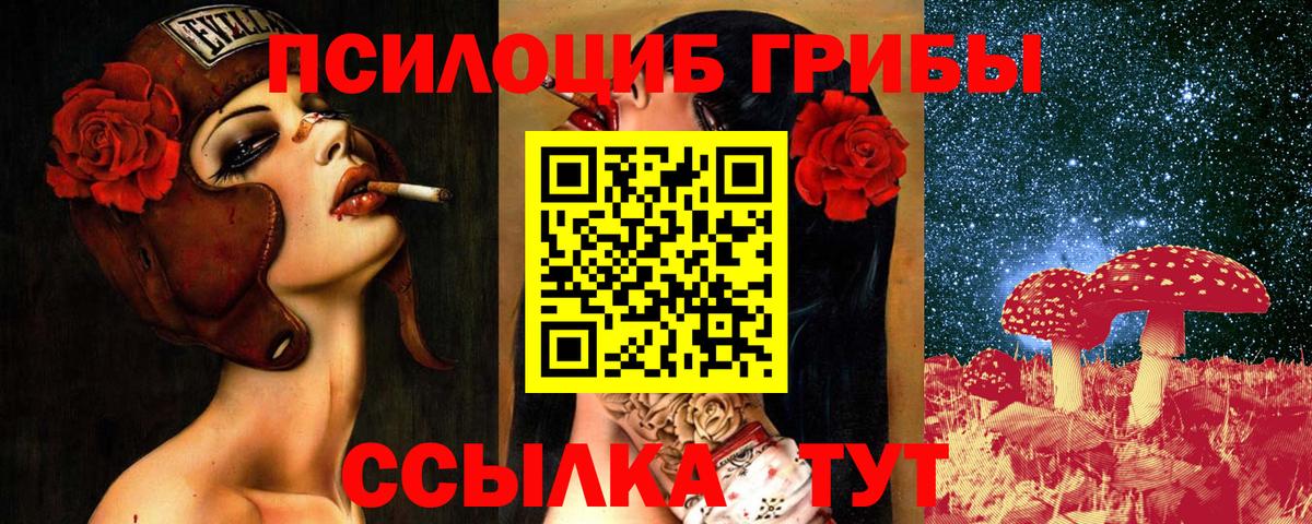 Псилоцибиновые грибы MAGIC MUSHROOMS Кашира