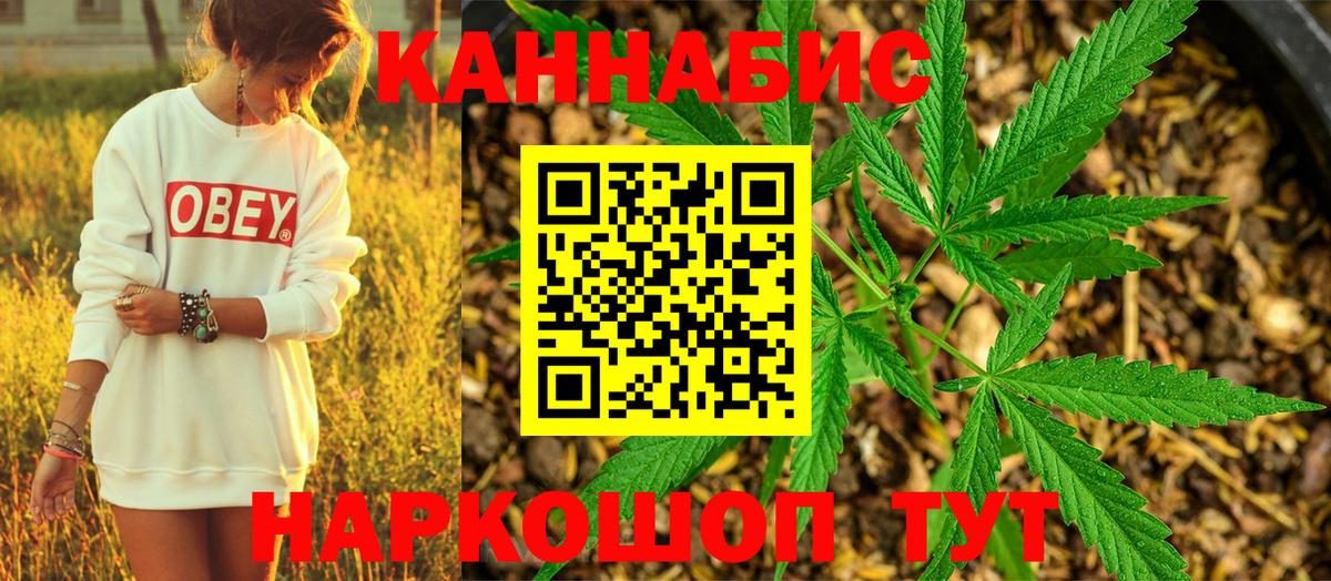 Конопля AK-47 Кашира